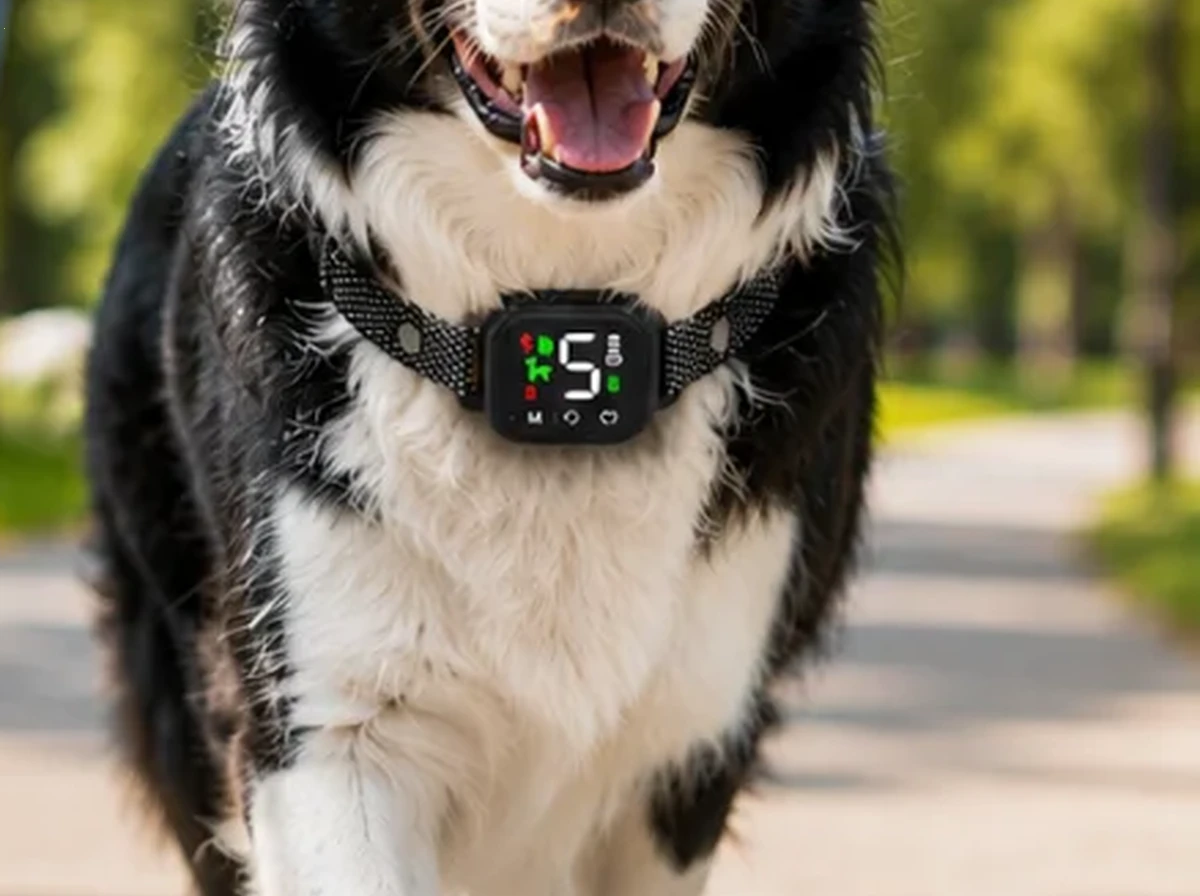 Hush Bark™ Digital Smart-Sensor Humane Dog Bark Collar Everyday Experience