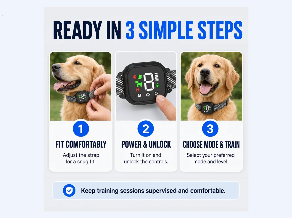 Reinforce Quiet Responses With Treats or Praise